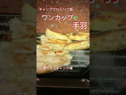 キャンプでひとりご飯 ワンカップ で 手羽！手羽！手羽！ 俺たちのキャンプ場 で ソロキャンプ