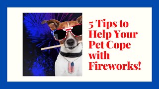 5 Tips to Help Your Dog Cope with Fireworks