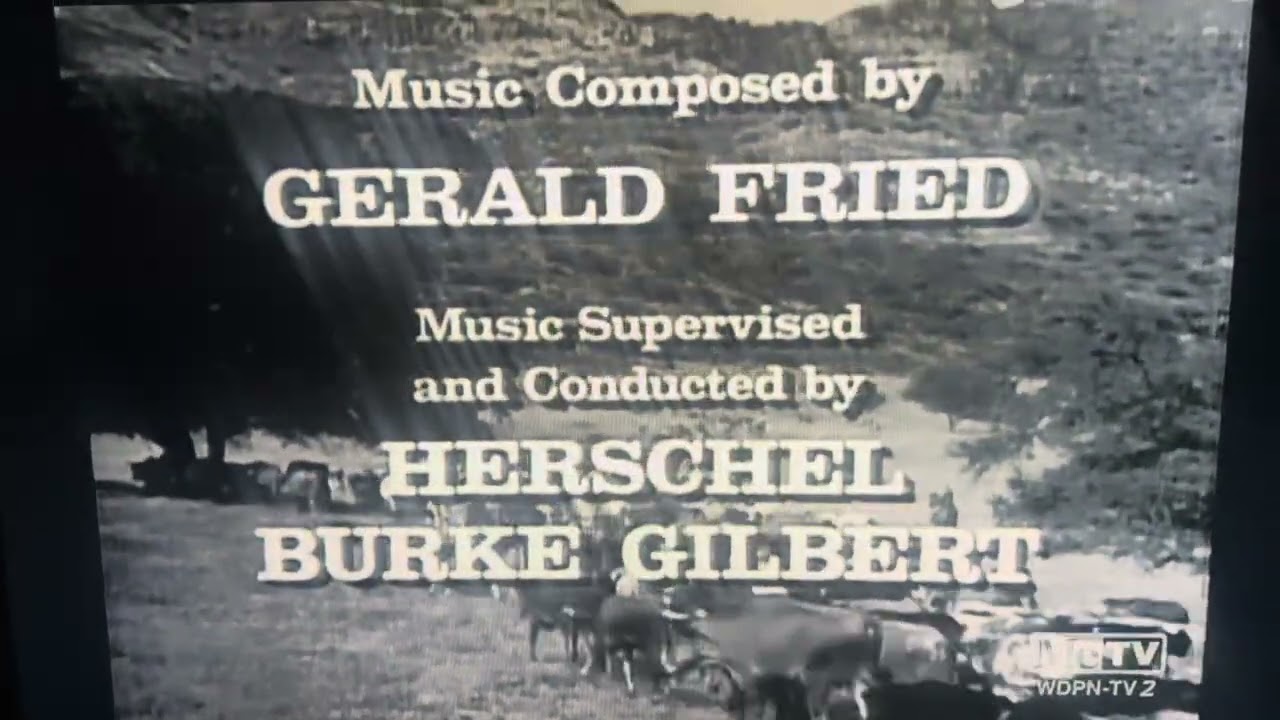 CBS Television Network/Viacom (1965/1986) #9