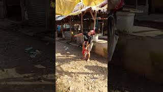 Debus Banten Extrim Makan Bara Api