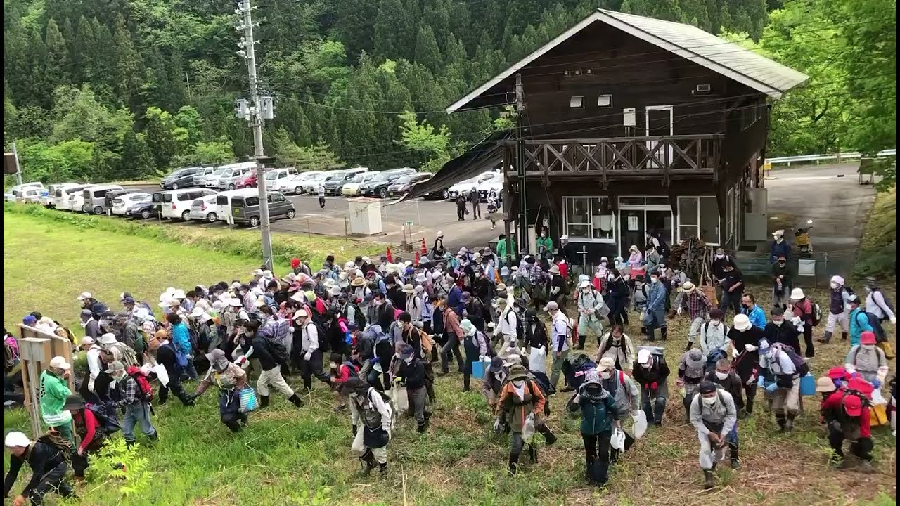 活動歴および当時の関連ビジュアル記録
