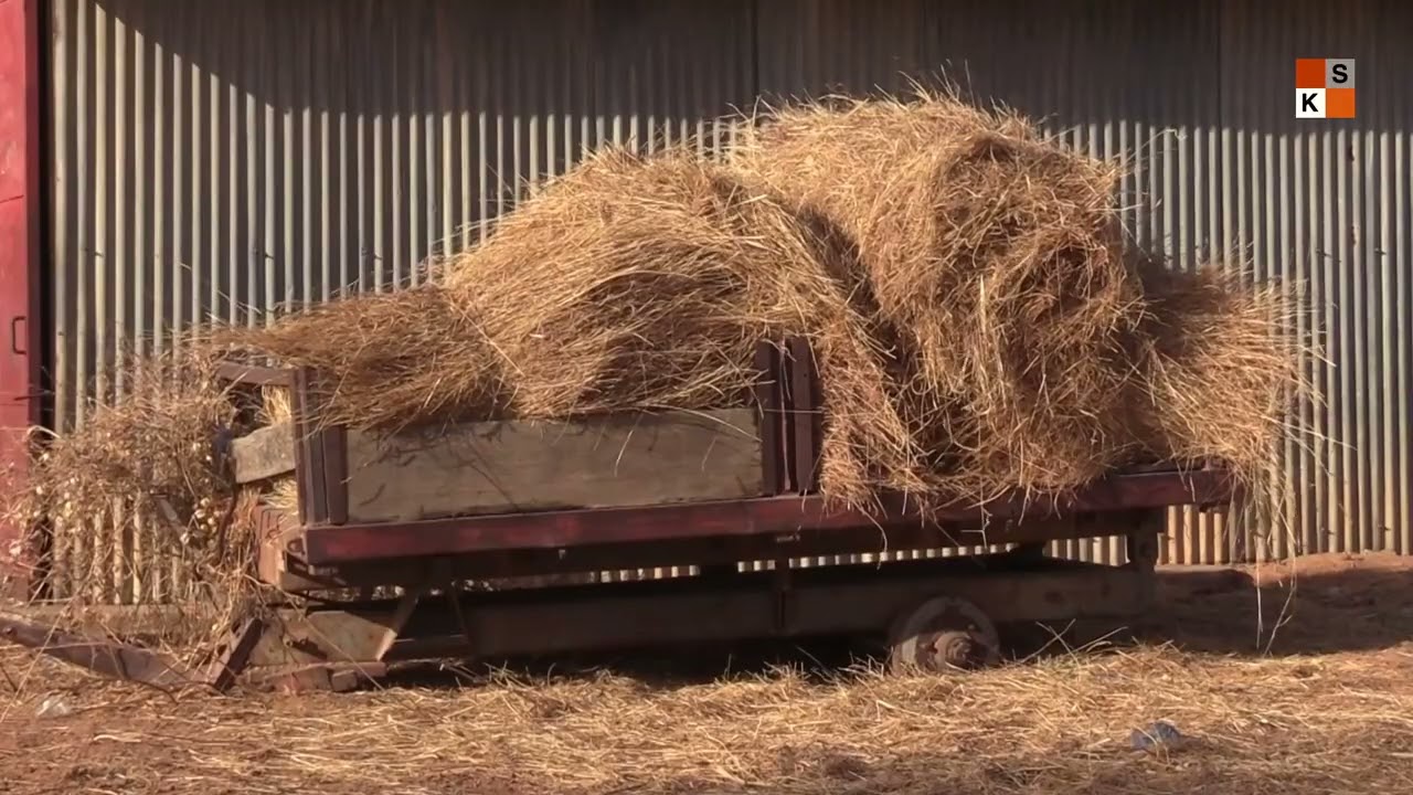 A la découverte du Centre des Caprins de Maradi