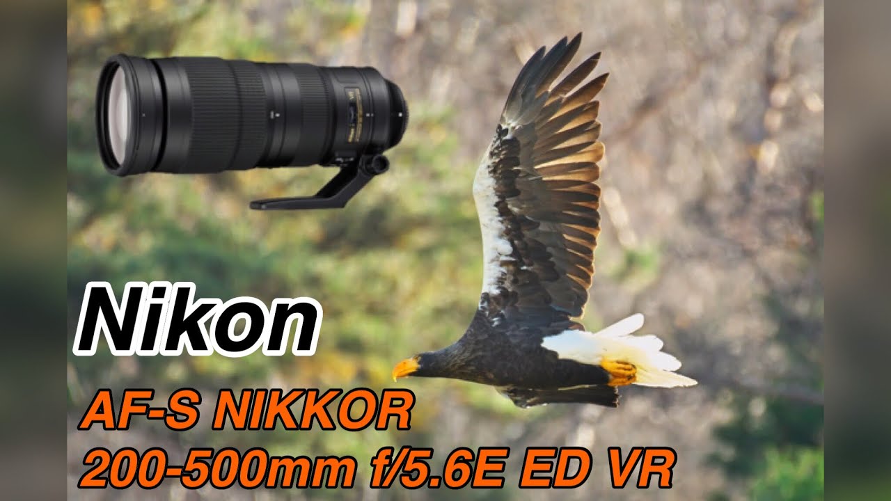 Nikon AF-S NIKKOR 200-500mm f/5.6E ED VR作例 ①