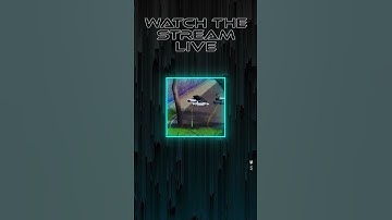 K9 + holo ? No scope no problem #shorts