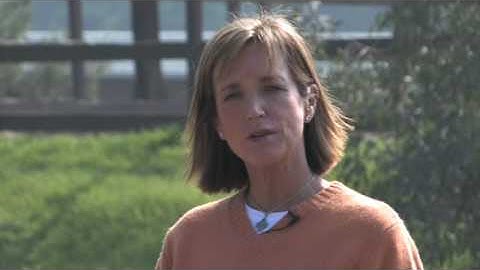 Clicker Training Your Horse: With a Great Attitude