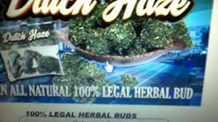 MY Legal bud review