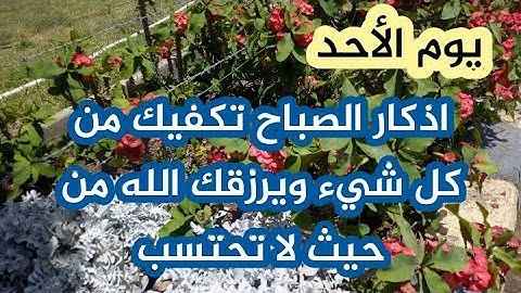 أذكار الصباح بصوت هادئ 💙لطرد الهم والحزن ❤️القارئ فارس حسن Adhkar Al-Sabah