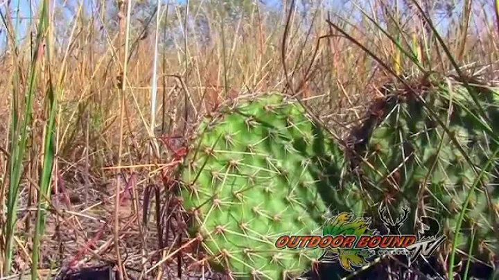 Outdoor Bound TV Episode 61 - Brad Hammermeister A...