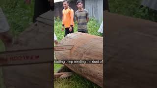 cut the hollow part of the wood #pacujalur #fypyoutube #viralvideos