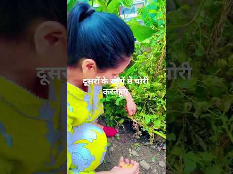 दूसरों के खेतों में चोरीकरते हुए