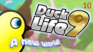 duck life 9 The Flock gameplay 10