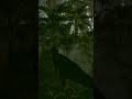 How to sit next to a Trex