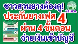 ชาวสวนยางต้องดู! #ประกันรายได้ยางพารา เฟส4 ผ่าน 4 ขั้นตอน ธ.ก.ส. โอนจ่ายเงินเข้าบัญชี