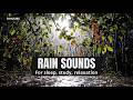 Gentle Raindrops on Leaves at Night | Insomnia Relief White Noise