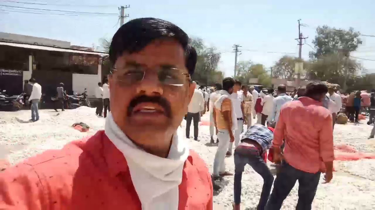 chhotisadri mandi garlic Price reports quality anusar || fresh garlic Price today ||