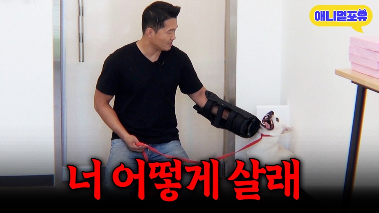 강형욱을 다시 찾아온 역대급 입질견! 무슨 문제가 생긴 걸까?ㅣKBS 개는 훌륭하다 201019 방송