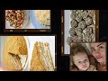 Кулинарный VLOG: Готовлю вкусные бутерброды, авторский салат и домашний медовик!