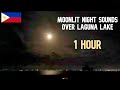 RELAX With NATURAL SOUNDS Of PHILIPPINES LAGUNA LAKE At NIGHT 3 HRS RELAX With NATURAL SOUNDS Of PHILIPPINES LAGUNA LAKE At NIGHT 3 HRS