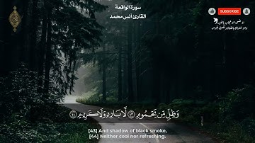 صوته ينقي القلوب من الحزن لجماله 😍 تلاوة ممتعة    القارئ انس محمد سورة الواقعة كاملة