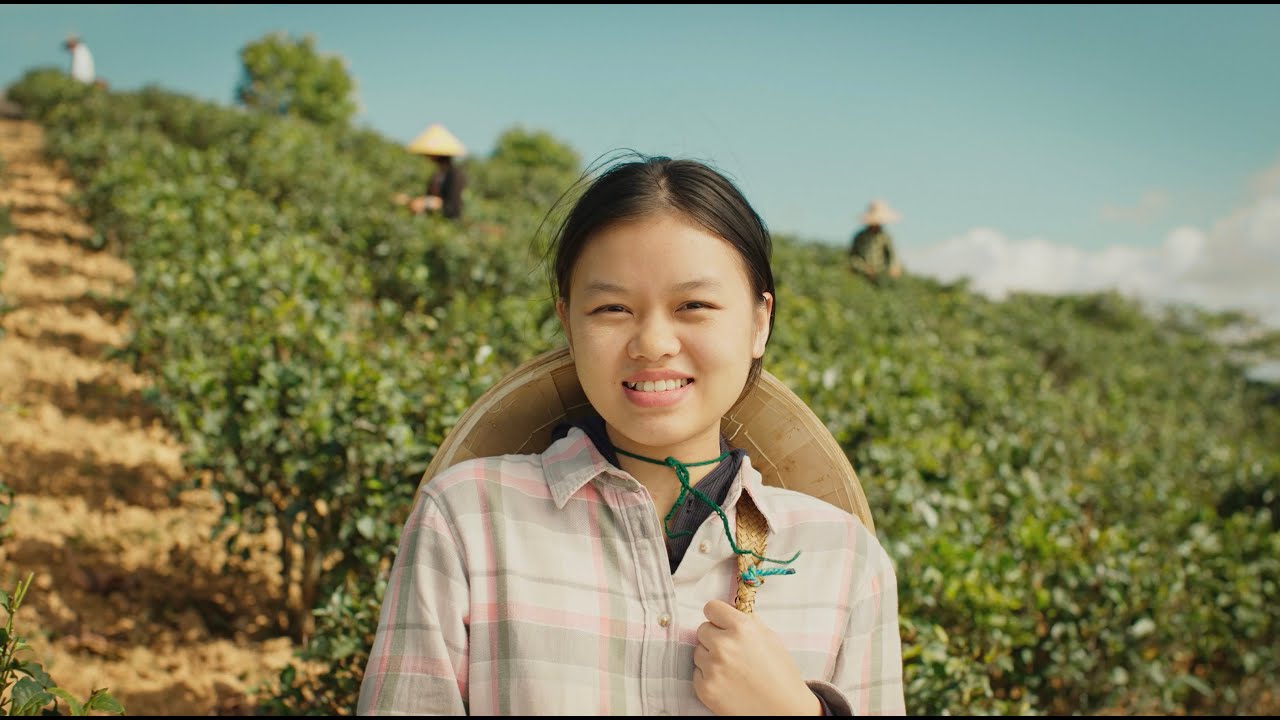 Brand Experience Portfolio 2025  Myanmar