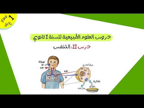 درس 11 التنفس أولى ثانوي علوم و تكنولوجيا 