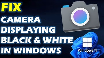 Solution: Camera showing Black & White in Windows 11 & Windows 10