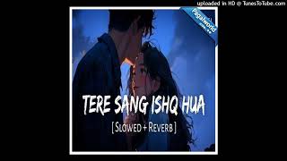 Tere Sang Ishq Hua (Slowed Reverb)# new song