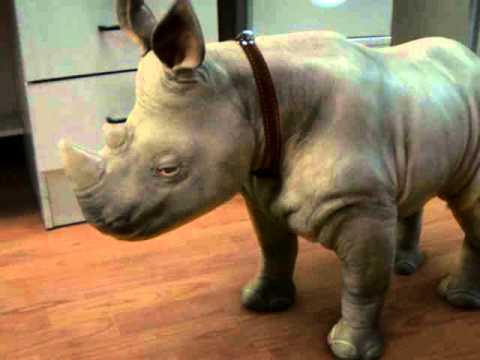 Робот в майнкрафте мини. Носорог под дабстеп. Агрессивный носорог. Носорог джус. Непарнокопытные носороговые.