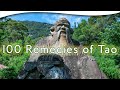 The Hundred Remedies of Tao | Gregory Ripley