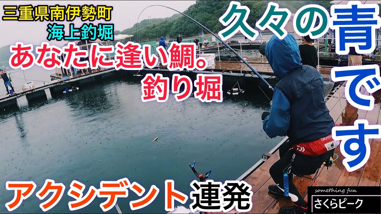 釣り アクシデント続きで心折れかけたけど久々に青物getな海上釣堀でやっぱり沼る あなたに逢い鯛 釣り堀 三重県南伊勢町 Youtube
