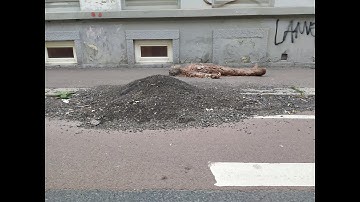 PERFORMANCE | Hearth