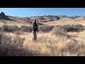 Quail hunting Somewhere In Nevada