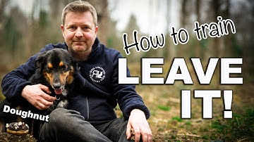Teach Your Dog to Leave Anything on Cue Without Shouting | Impulse Control & Behaviour