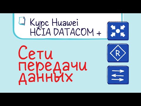 Курс Huawei HCIA Datacom. Лекция 1. Сети передачи данных.