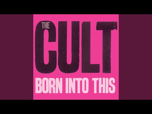 THE CULT - I ASSASSIN