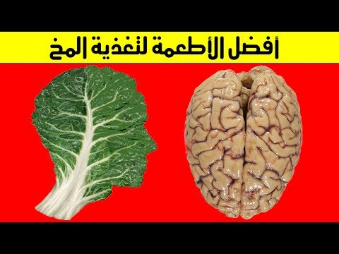 أفضل الأطعمة الطبيعية لتحسين أداء المخ  وتقوية الذاكرة والقدرات الذهنية بهذه الطرق المبهرة