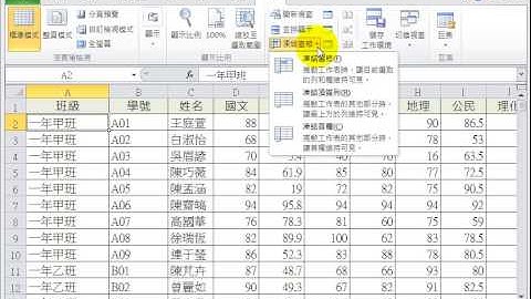 Excel 2010 凍結窗格