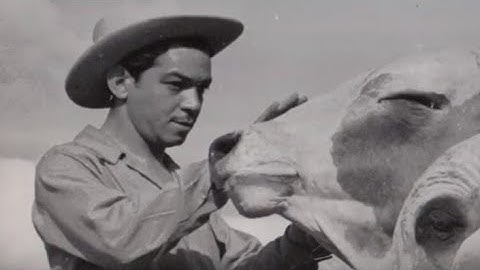 Hacienda el DETALLE de Cantinflas en CIUDAD VALLES