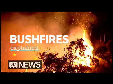 Wideo: W znaczeniu pożaru buszu?