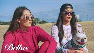 Nikki admits she's overwhelmed with wedding planning and life in general: Total Bellas, July 8, 2018