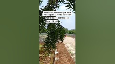 Residential plot are available Narayan vihar y block patrkar colony extension #jaipur #plot #short