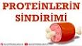 Proteinler ve Fonksiyonları ile ilgili video