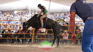 YA SE FUERON LOS JINETES BUENOS PERO VIENEN OTROS ATRÁS!!! MAREADA DE TECARIO VS TIEMPO DE GUERRA GO