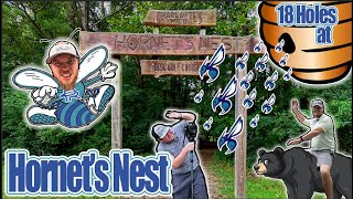 FINALLY playing HORNETS NEST!! Charlotte, NC