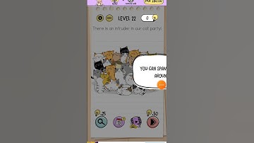 There is an intruder in our cat party | Brain test level 22