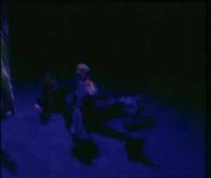 Raiden vs Shao Khan Final Battle