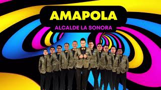 Alcalde La Sonora - Amapola (Audio Oficial)