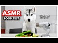 ASMR Dog Reviews Different Foods | ASMR Husky | SKAYASMR