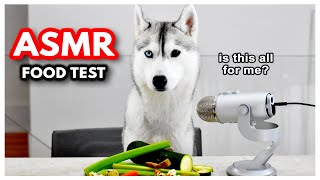 ASMR Dog Reviews Different Foods | ASMR Husky | SKAYASMR