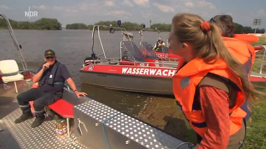 Hochwasser 13 In Der Elbtalaue Bei Hitzacker Naturnah Youtube